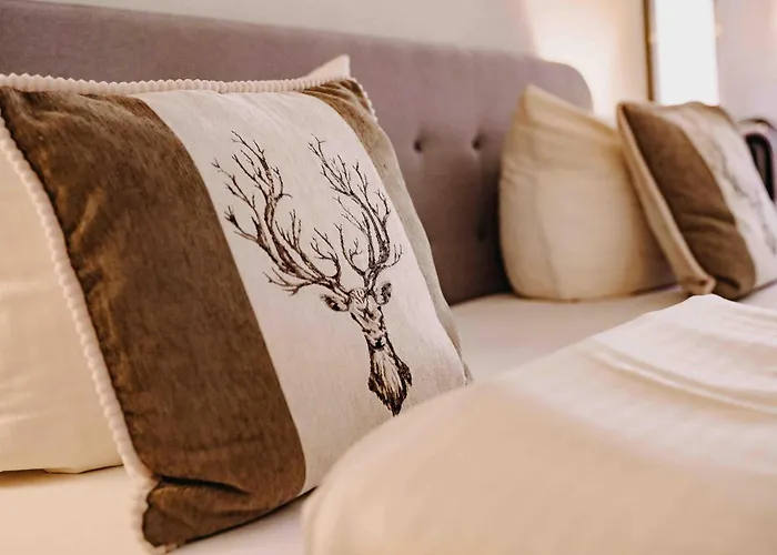 Haus Am Harzflair Daire